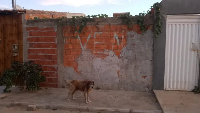Vendo terreno murado CASA NOVA BAHIA