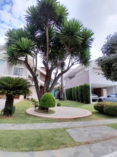 AVL Jardinagem | Corte de grama, poda e limpeza - Maringá e região