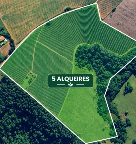 SITIO A VENDA EM ALFENAS