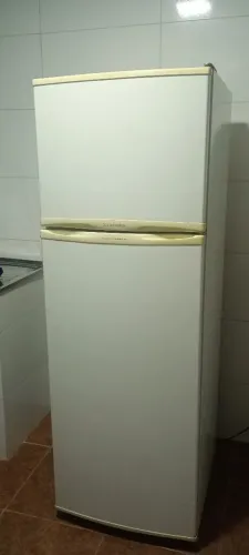 Geladeira Eletrolux Double DC 360