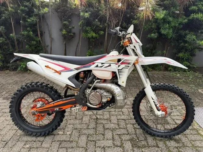 MXF 300 TS 2024
