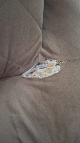 Sofa para reforma