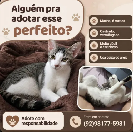 Adoção