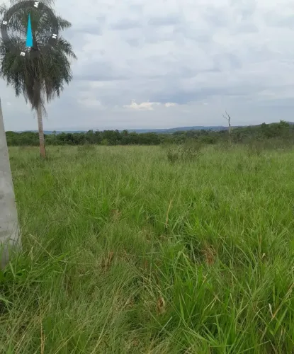FAZENDA COM 79 HECTARES A VENDA EM AQUIDAUANA