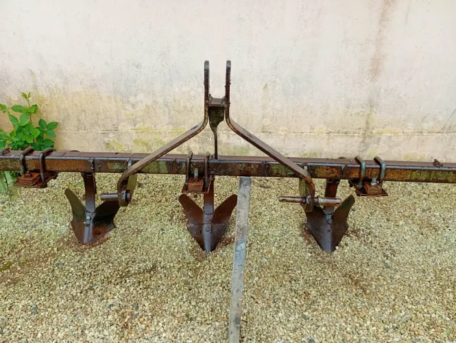 Carpideira/ Cultivador