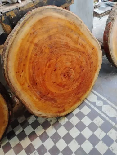 Tampo de mesa de jaqueira