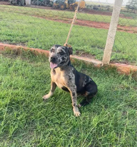 Pit monster
