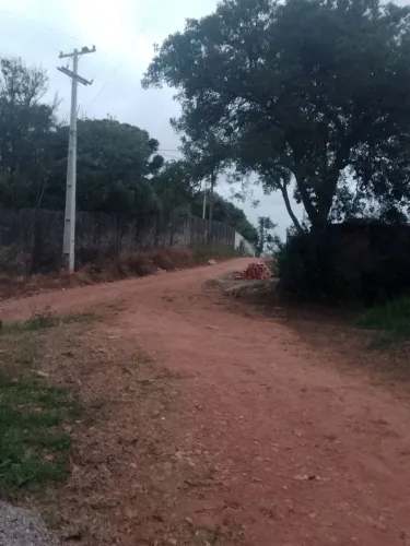 Vendo ou troco Chacrinha em Mandirituba PR