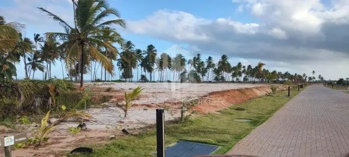 Oportunidade! Terreno Nascente no Praia do Castelo 700m² | Praia do Forte, Bahia | Infrae