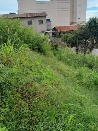 Limpeza terrenos, jardinagem em geral, manutenção