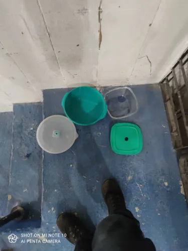 Pratos de porcelana, refratários diversos tamanhos, prato para microondas