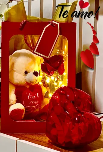 LINDAS CAIXAS PRESENTES COM URSINHO