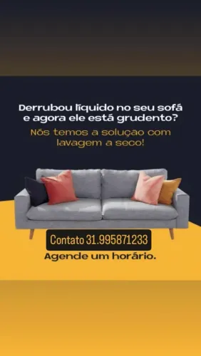 Limpeza e Higienização de Estofados Residenciais e Automotivos 