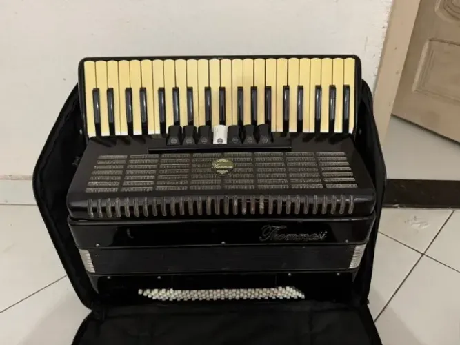 Acordeon De 120 Baixos Thommasi Ta-12009 Preto