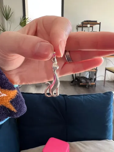 Pingente de Gato Prata 925