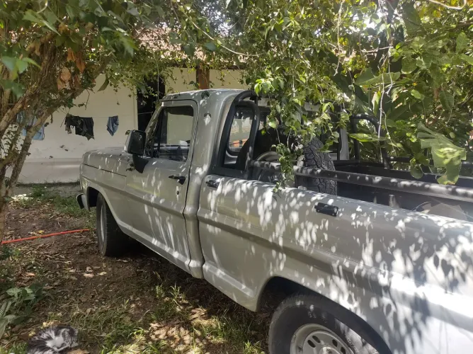 Ford F-1000 S. S. Diesel / S.s. Diesel Turbo 1981