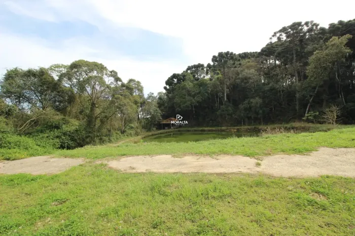 Chácara com 21.000m² na Murici