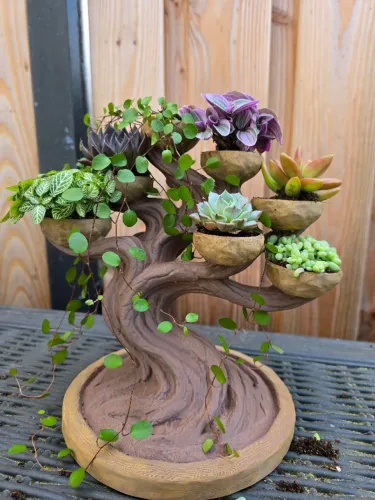 Vaso Bonsai para Suculentas