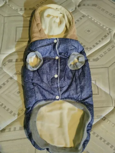 Roupa para pet