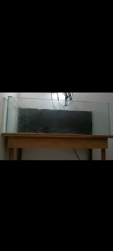 Terrário 120cm