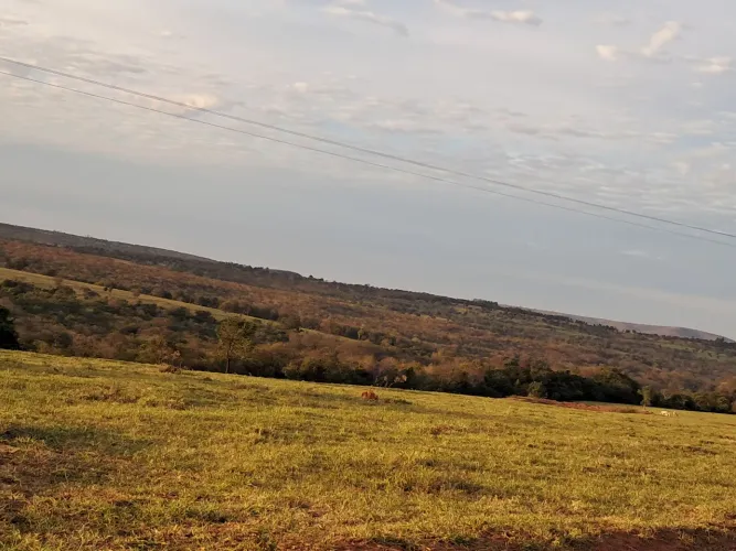 Fazenda em Anastácio MS