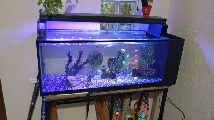 Aquário de um metro e 20 com sistema de sump