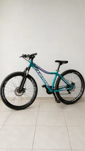 BICICLETA LOTUS ANGEL ARO 29