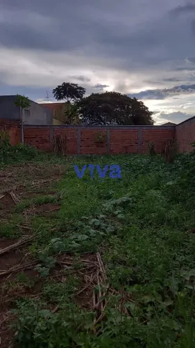 Vendo lote de 390 metros quadrados, todo murado, Morada dos Pássaros, Aparecida de Goiânia