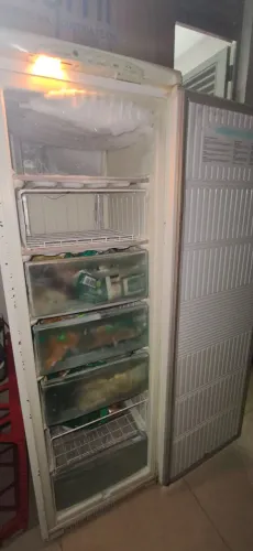 Freezer Vertical Eletrolux F250 Fast Freezing