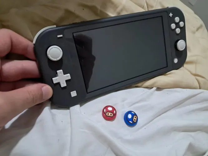 Nintendo switch lite + pads + case + jogo