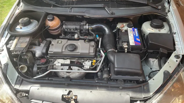 Peugeot 206 Presence 1.4/ 1.4 Flex 8V 3P 2004