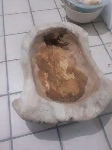 uma gamela de madeira esculpida em tora bruta,
