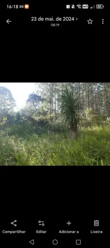 Lote 3 tarefas, pego carro e moto como parte do negócio. 