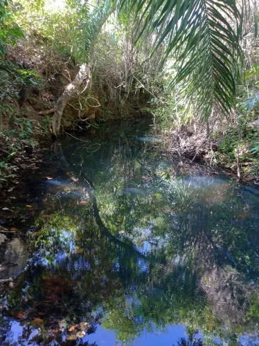 VENDO!!! SÍTIO 20 HECTARES À VENDA NOSSA SENHORA DO LIVRAMENTO (MT)
