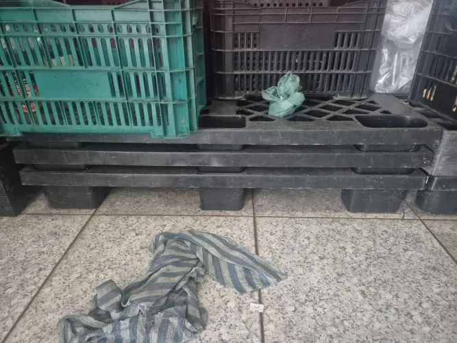 Cinco Pallets plásticos de 1,2m X 1m