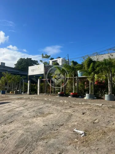 Terreno Beira-Rio codigo: 285306