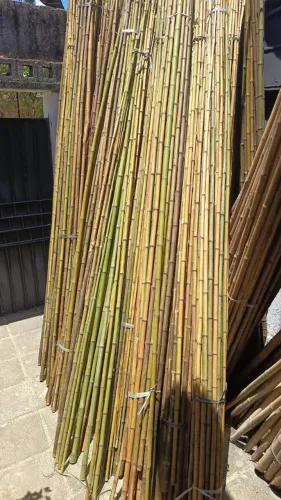 BAMBU PARA BANDEIRA POLITICA