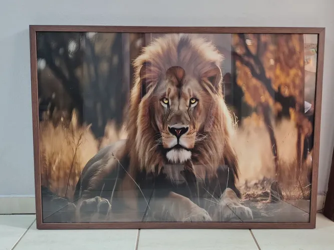 Quadro Decorativo