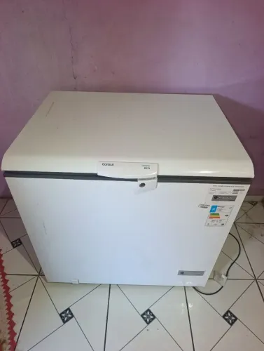Freezer 309L