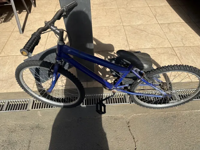 BICICLETA 100,00