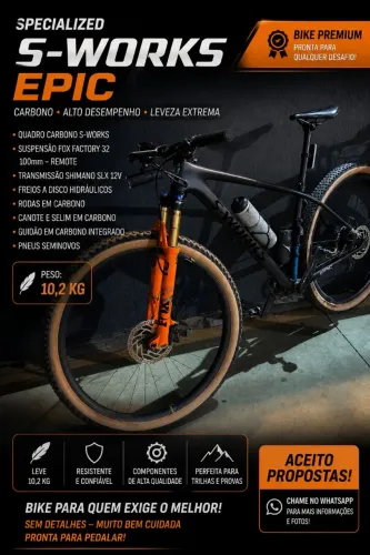 Bike carbono s works