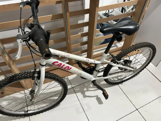 Venda de Bicicleta Calou Feminina