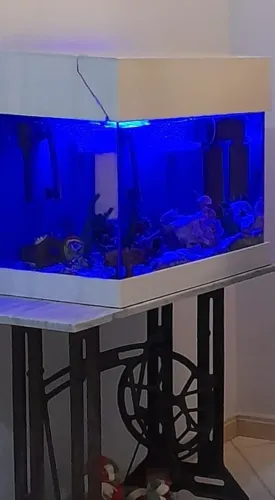 Aquário 100 lts