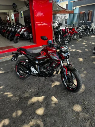 FZ15 2023/2024