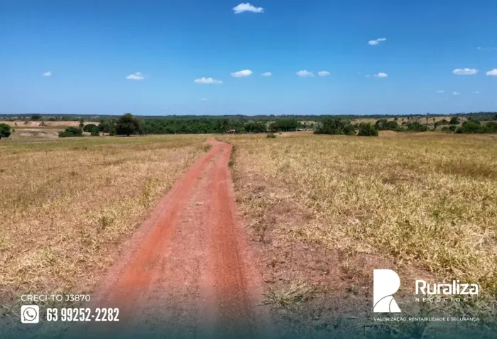 739 HA PARA LAVOURA | EXCELENTE CUSTO-BENEFÍCIO
