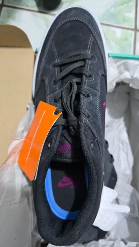 Tênis Nike SB malor