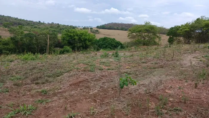 Chácara com energia em Professor Jamil 2200 m2 29.900 chacaras baratas de mais