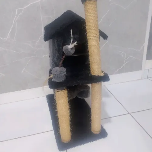Casa de Gatinho (a)