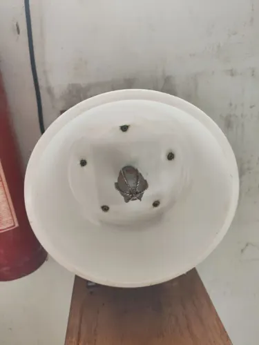 Vendo ralador de coco