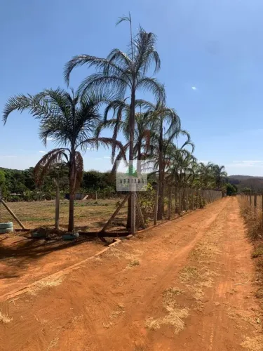 Venda Chácara de Lazer Daia Santido Gameleira de Goias Rica em Agua 2 Casas Toda Ce